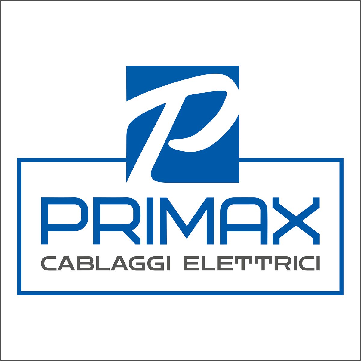 <h2>Progettazione logotipo</h2><br><h3>Primax</h3><H4>LOGHI</h4>
